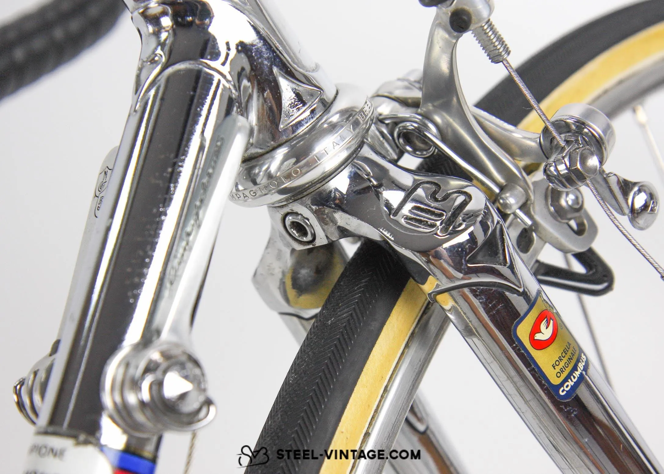 Bottecchia Professional Chromed 50th Anniversary Bike 1980s