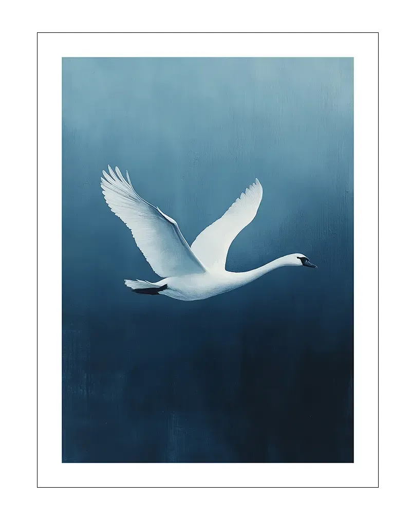 Swan in Flight Poster