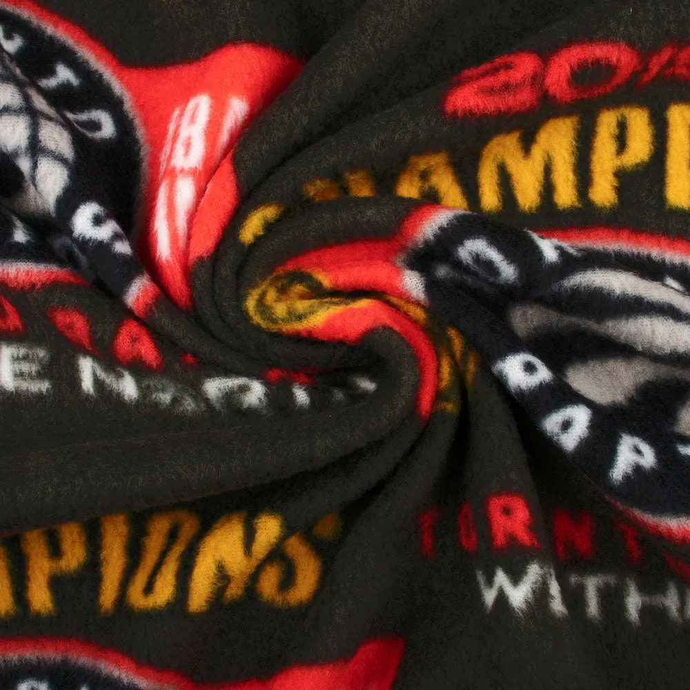 Toronto Raptors - NBA fleece - Champion 2019 - Charcoal